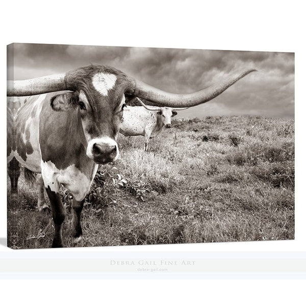 Debra Gail Fine Art Canvas Wrap / 10x8 Large Longhorn Western Wall Art