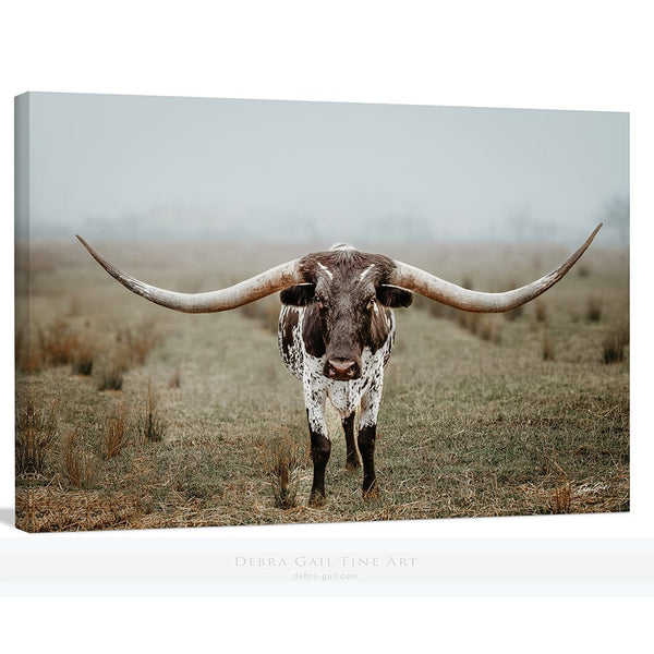 Debra Gail Fine Art Canvas Wrap / 10x8 Large Longhorn Western Wall Art