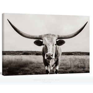Longhorn cow wall decor canvas – rustic Western fine art print by Debra Gail Fine Art