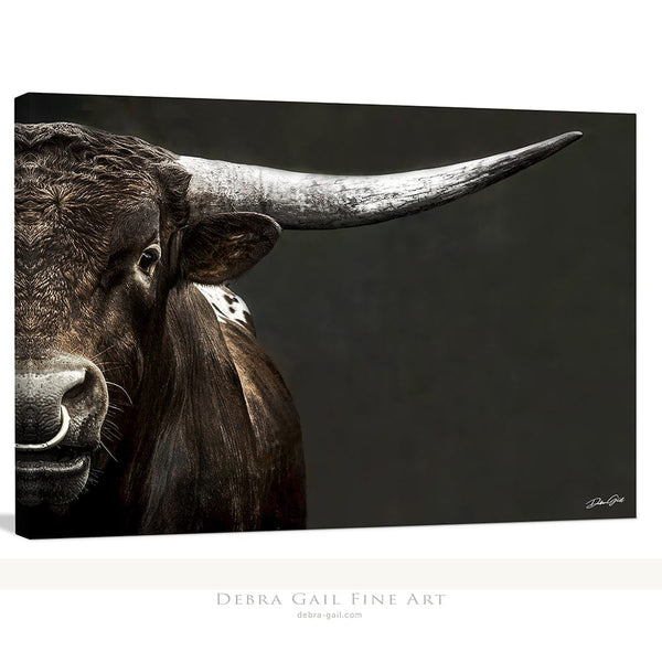 Debra Gail Fine Art Canvas Wrap / 10x8 Large Western Decor Longhorn Bull Art Print