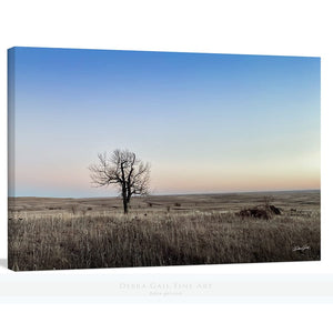 Flint Hills wall art – prairie tree landscape photography by Debra Gail Fine Art