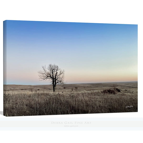 Debra Gail Fine Art Canvas Wrap / 10x8 LONE TREE ON THE PRAIRIE - WILD WESTERN GOTHIC DECOR