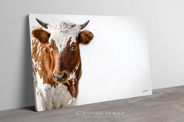 Debra Gail Fine Art Canvas Wrap / 10x8 Longhorn Calf Fine Art Print | Rustic Texas Longhorn Wall Art