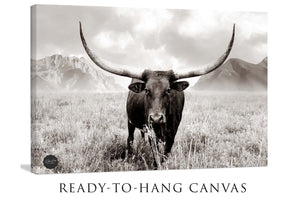 Texas Longhorn wall art – Western ranch photography print by Debra Gail Fine Art