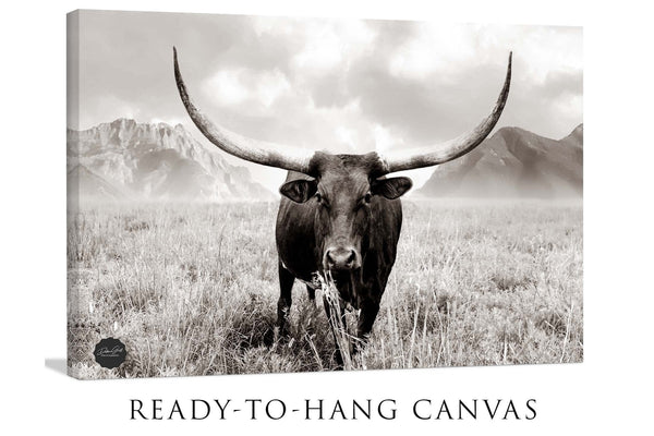 Debra Gail Fine Art Canvas Wrap / 10x8 Longhorn Canvas Wall Art in Sepia Farmhouse Colors