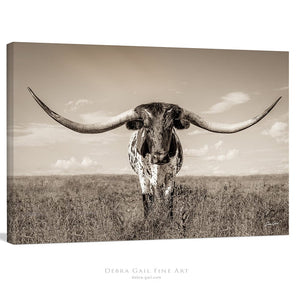 Longhorn wall canvas barnwood framed Western fine art print by Debra Gail Fine Art