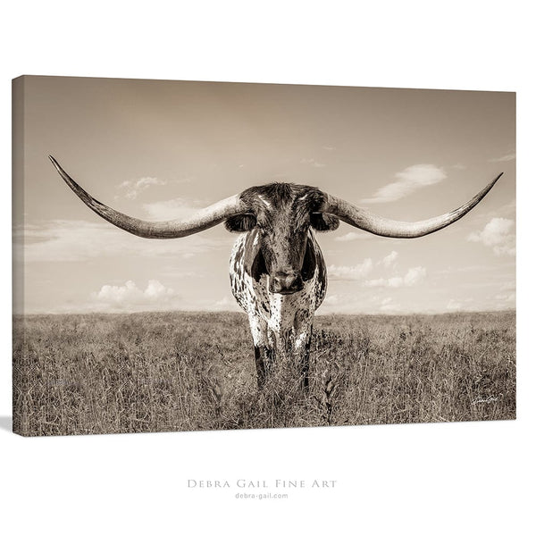 Debra Gail Fine Art Canvas Wrap / 10x8 Longhorn Cow Print or Canvas by Debra Gail - Neutral Farmhouse Decor