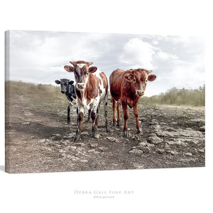 Texas Longhorn wall art – calves cow Western ranch photography print by Debra Gail Fine Art