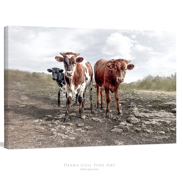 Debra Gail Fine Art Canvas Wrap / 10x8 Longhorn Cow Print Picture - Cute Baby Calves