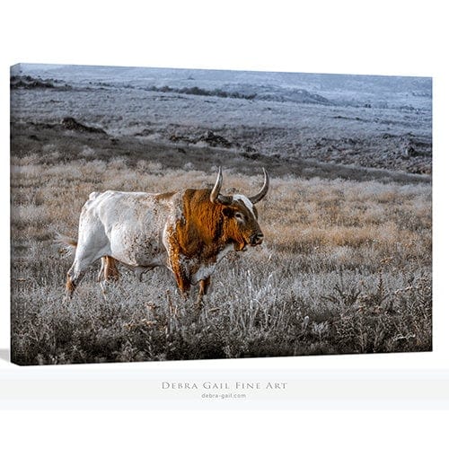 Debra Gail Fine Art Canvas Wrap / 10x8 Longhorn Wall Art Canvas Print