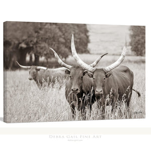 Longhorn cow wall decor canvas – rustic Western fine art print by Debra Gail Fine Art