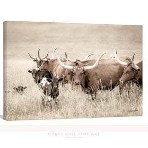 Longhorn cow wall decor canvas – rustic Western fine art print by Debra Gail Fine Art