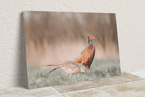 Pheasant wall art – canvas framed print Kansas prairie fine art photography by Debra Gail Fine Art