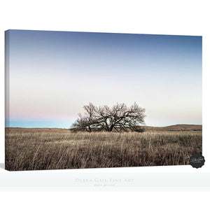 Kansas Flint Hills wall art – sunrise prairie landscape photography by Debra Gail Fine Art