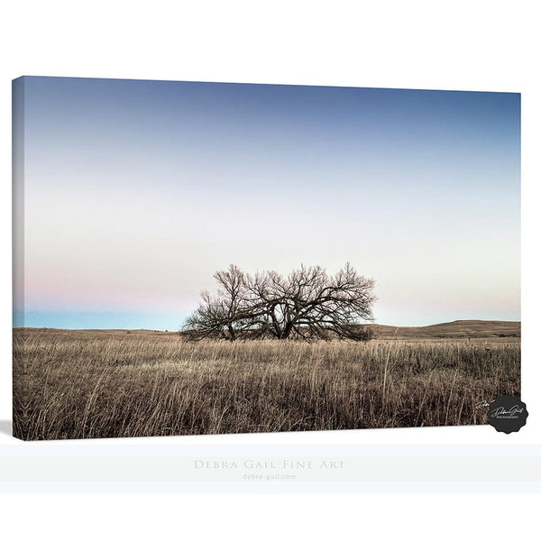 Debra Gail Fine Art Canvas Wrap / 10x8 Minimalist Kansas Flint Hills Tree Art Print Decor