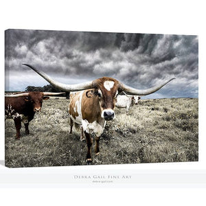 Longhorn cow wall decor canvas – rustic Western fine art print by Debra Gail Fine Art