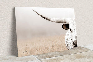 Texas Longhorn wall art – Western ranch photography print by Debra Gail Fine Art