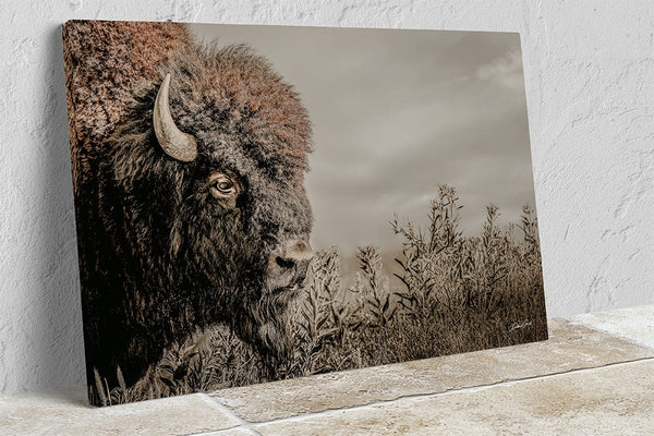 Debra Gail Fine Art Canvas Wrap / 10x8 Rustic Bison Western Wall Art - Fine Art Canvas or Print No. 2185