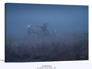Elk wall art – Western wildlife fine art photography by Debra Gail Fine Art