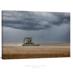 Combine harvest wall art – wheat field farmhouse fine art print by Debra Gail Fine Art