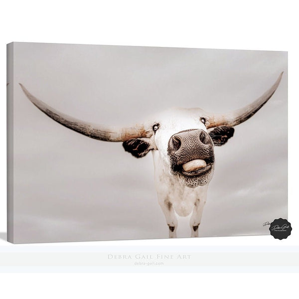 Debra Gail Fine Art Canvas Wrap / 10x8 Texas Longhorn Canvas Print - Farmhouse Nursery Art