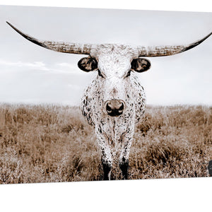 Debra Gail Fine Art Canvas Wrap / 10x8 Texas Longhorn Canvas Wall Art