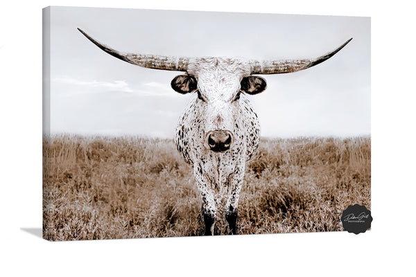 Debra Gail Fine Art Canvas Wrap / 10x8 Texas Longhorn Canvas Wall Art