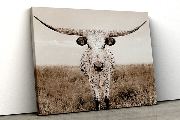 Debra Gail Fine Art Canvas Wrap / 10x8 Texas Longhorn Canvas Wall Art No. 0505S