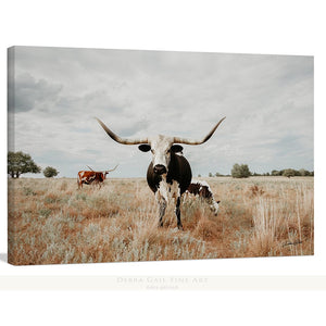 Longhorn cow wall decor canvas – rustic Western fine art print by Debra Gail Fine Art
