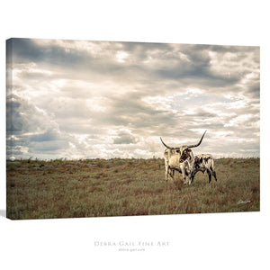 Longhorn wall decor – rustic Western fine art print by Debra Gail Fine Art