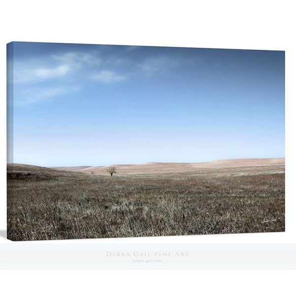 Debra Gail Fine Art Canvas Wrap / 10x8 TREE ON THE TALLGRASS PRAIRIE ART PRINT OR CANVAS