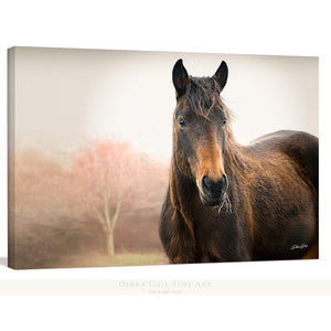 Wild Horse wall art – rustic Western fine art print by Debra Gail Fine Art