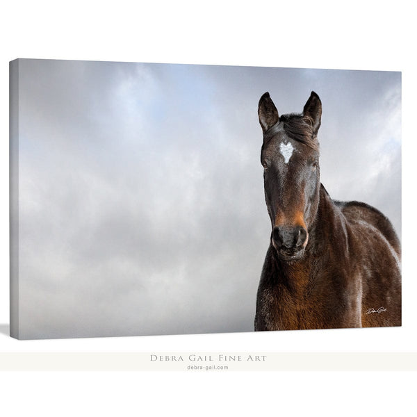 Debra Gail Fine Art Canvas Wrap / 10x8 WILD HORSE HEART - NATURE PHOTOGRAPHY ART PRINT