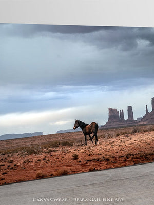 Southwest wild horse decor canvas art – rustic Western decor