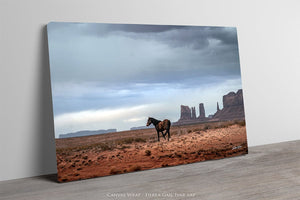 Southwest wild horse decor canvas art – rustic Western decor