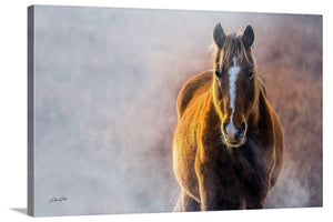 Wild Horse wall art – rustic Western fine art print by Debra Gail Fine Art
