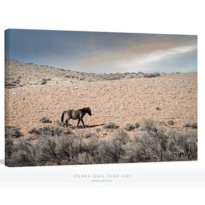 Wild Horse wall art – rustic Western fine art print by Debra Gail Fine Art