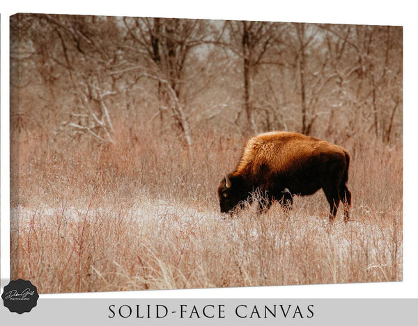 Debra Gail Fine Art Canvas Wrap / 10x8 WINTER BISON GRAZING - RUSTIC DECOR