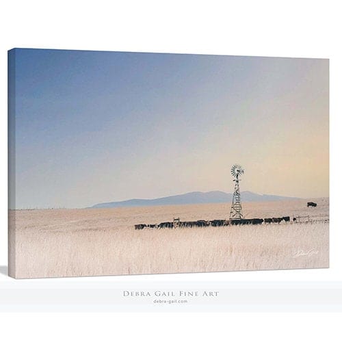 Debra Gail Fine Art Canvas Wrap / 10x8 WINTER CATTLE - WINDMILL FARMHOUSE DECOR