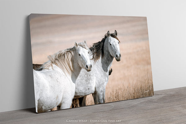 Debra Gail Fine Art Canvas Wrap / 18x12 MUSTANG HORSE PRINT - PERFECT FOR HORSE LOVERS