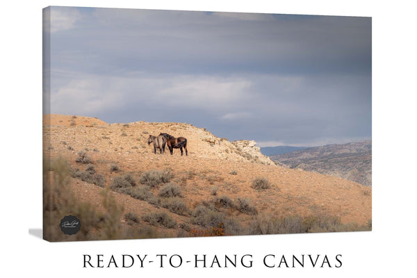 Debra Gail Fine Art Canvas Wrap / 18x12 WILD HORSES ART PRINT - WYOMING WILDLIFE PHOTOGRAPHY