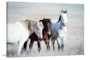 Wild horses wall art canvas print – rustic flint hills prairie farmhouse western decor