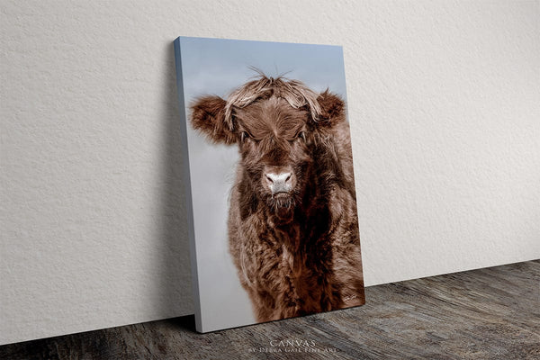 Debra Gail Fine Art Canvas Wrap / 8x10 ADORABLE HIGHLAND COW CALF ART PRINT - FARMHOUSE DECOR