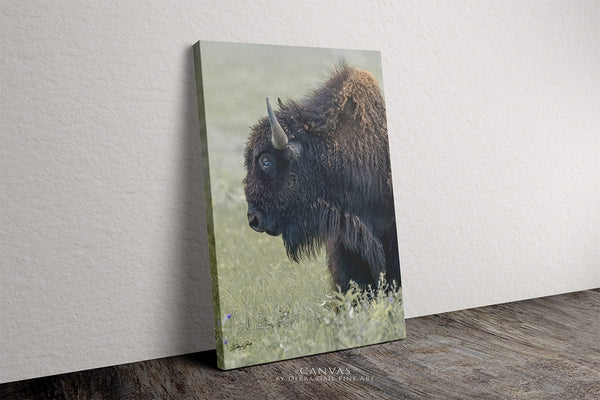 Debra Gail Fine Art Canvas Wrap / 8x10 BISON CLOSE UP - VERTICAL RUSTIC PRINT