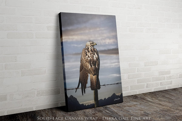 Debra Gail Fine Art Canvas Wrap / 8x10 HAWK ON THE WIRE - WESTERN GOTHIC FINE ART PRINT