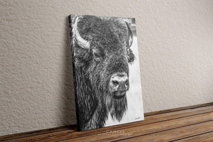 Bison wall art – neutral sepia rustic prairie photography print by Debra Gail Fine Art