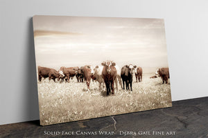 Cattle cow wall decor canvas – farmhouse fine art print by Debra Gail Fine Art