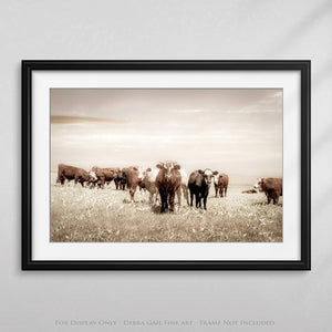 Cattle cow wall decor canvas – farmhouse fine art print by Debra Gail Fine Art