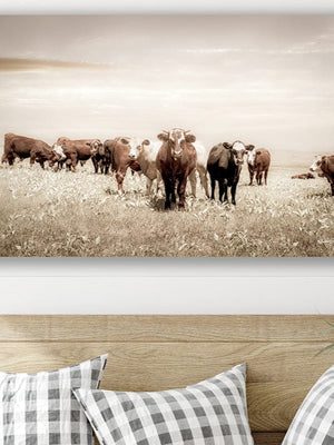 Cattle cow wall decor canvas – farmhouse fine art print by Debra Gail Fine Art