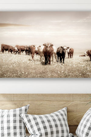 Cattle cow wall decor canvas – farmhouse fine art print by Debra Gail Fine Art